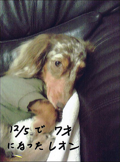 img002.jpg