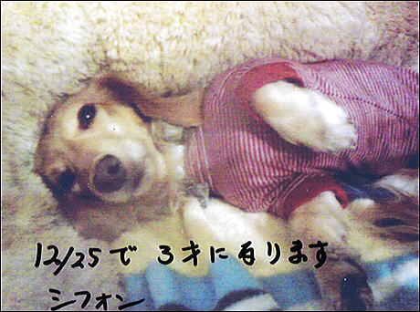 img004.jpg