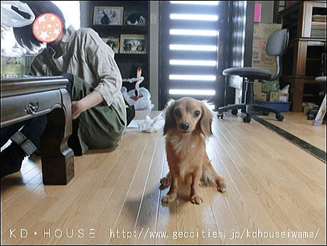 CIMG0366.jpg