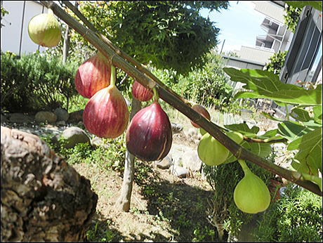 CIMG0614.jpg
