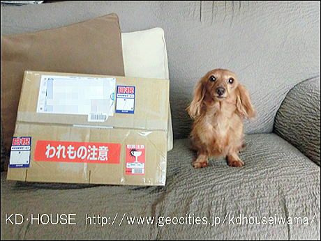 CIMG6710.jpg