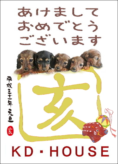2019年賀1.jpg