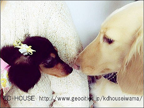 c!cid_EE101277DA6D45A28AEF7E618E0DB107@OwnerPC.jpg