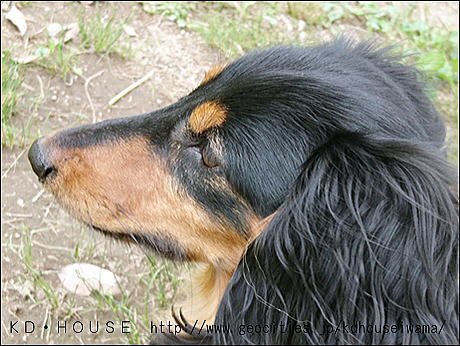 cDSC_1157 (2).jpg