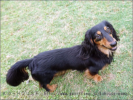 cDSC_1171 (2).jpg