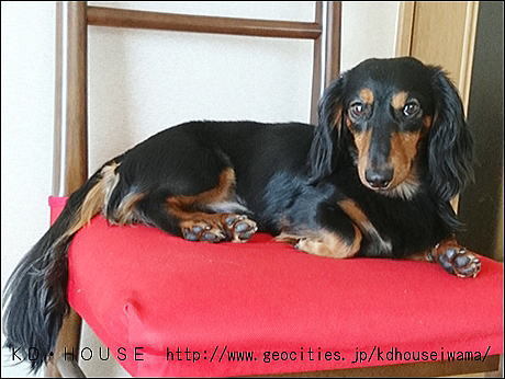 cDSC_1272 (2).jpg