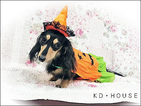 cハロウィン (2).jpg
