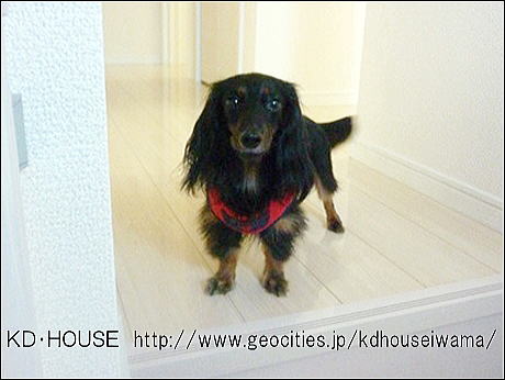 co0480036013743914532.jpg
