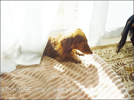 co0480036013795398460.jpg