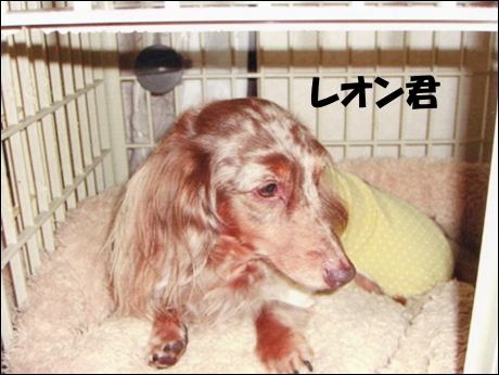img012.jpg