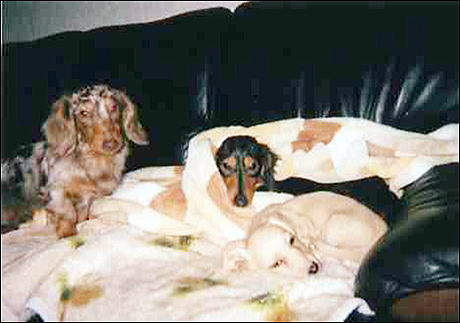 img042.jpg