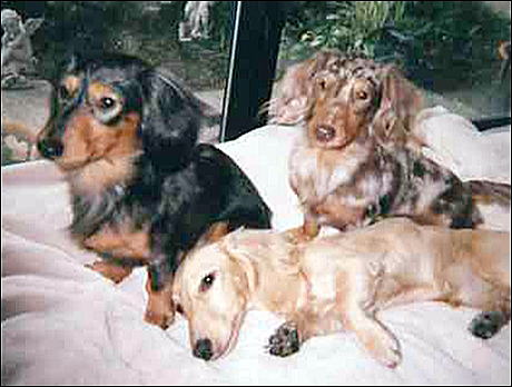 img047.jpg