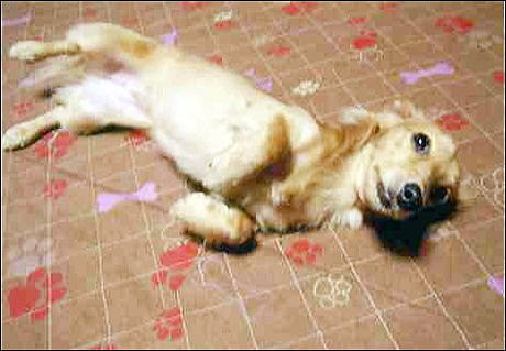img07512.jpg