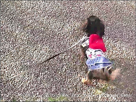 video-1522766380_20184424742.jpg