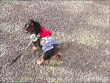 video-1522766380_20184424838.jpg