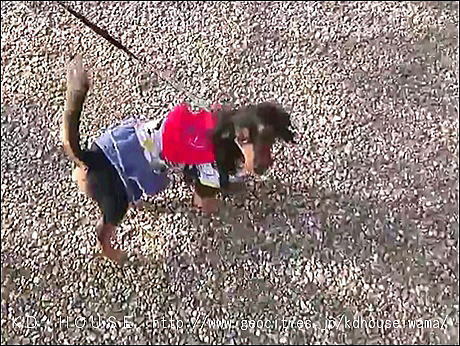 video-1522766380_20184425056.jpg